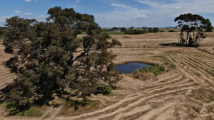 Fourth view of Homely rural property listing, LOT 1,2 & 3 Hamilton Highway, Cressy VIC 3322