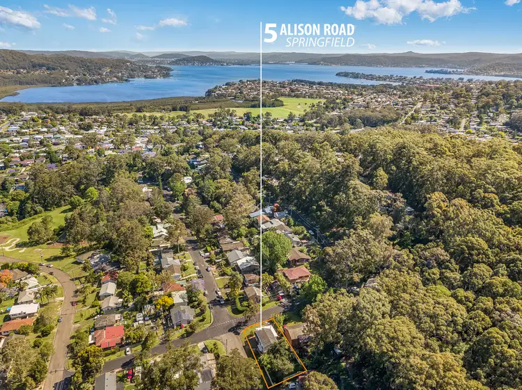 5 Alison Road, Springfield NSW 2250