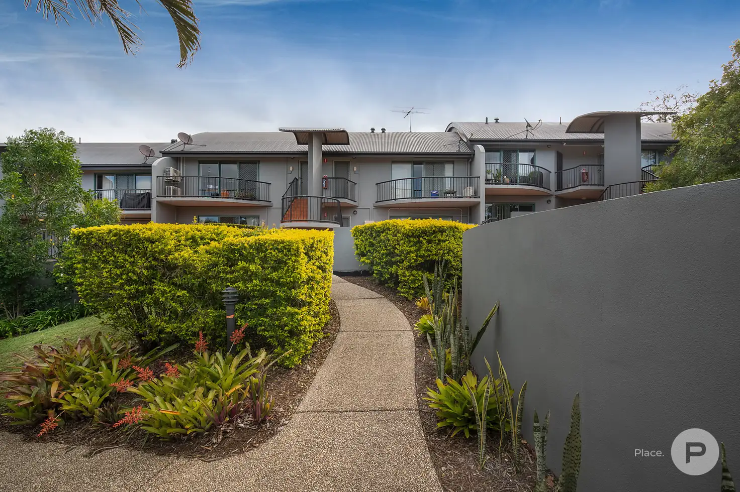 Main view of Homely unit listing, 3/451 Enoggera Road, Alderley QLD 4051