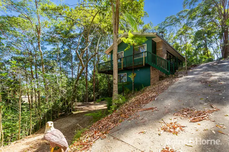Main view of Homely rural property listing, 657 Dulguigan Road, Dulguigan NSW 2484