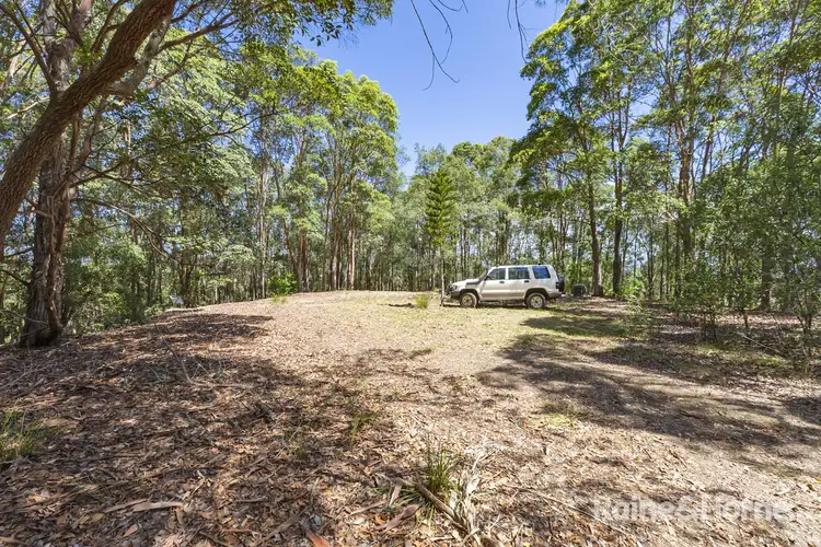 Fourth view of Homely rural property listing, 657 Dulguigan Road, Dulguigan NSW 2484