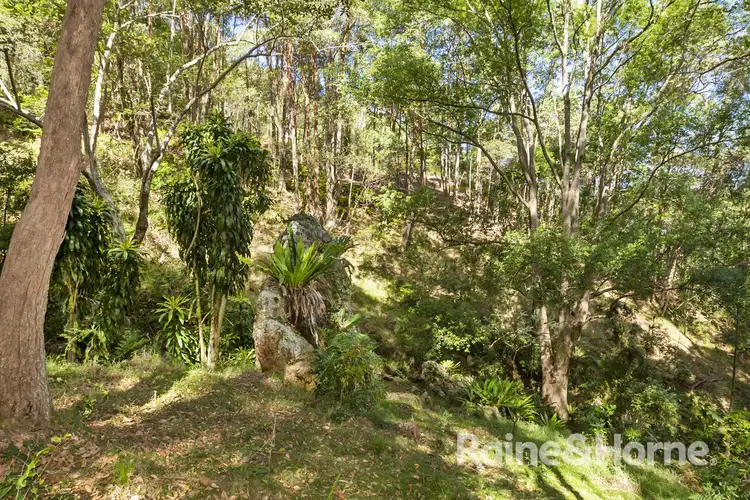 Fifth view of Homely rural property listing, 657 Dulguigan Road, Dulguigan NSW 2484
