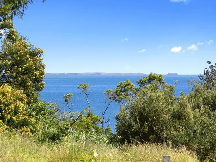 Third view of Homely house listing, 91 Tasman Road, Somers VIC 3927