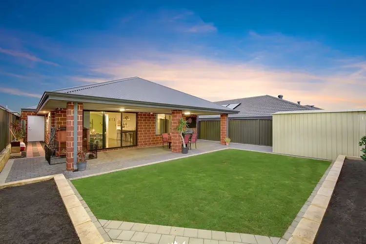 Main view of Homely house listing, 14 Dragonfly Road, Banksia Grove WA 6031
