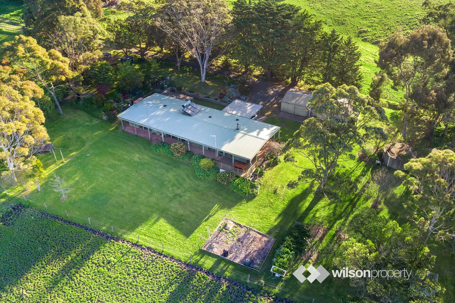 Main view of Homely house listing, 105 Trovatello Place, Tyers VIC 3844