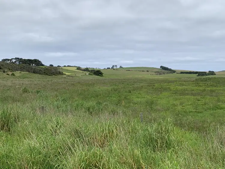 Sixth view of Homely rural property listing, LOT 14A Fords Access Road, Princetown VIC 3269