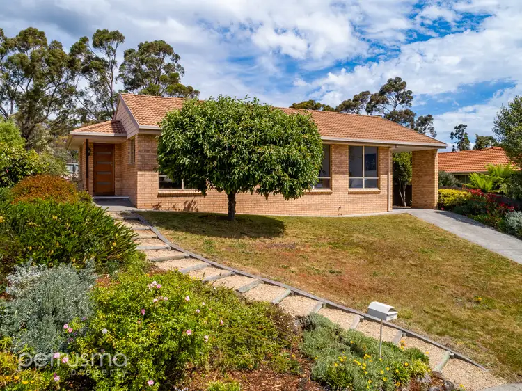 12 Graelee Court, Kingston TAS 7050