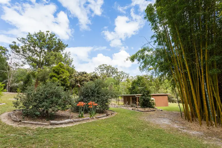 Third view of Homely rural property listing, 775 Tucabia-Tyndale Road, Tucabia NSW 2462