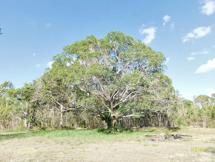 Seventh view of Homely land listing, 260 Central Road, Tinana QLD 4650