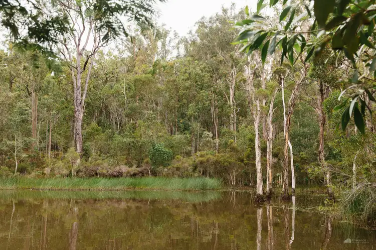 Second view of Homely rural property listing, LOT 17, 18, & 180 Bostock Road, Tucabia NSW 2462