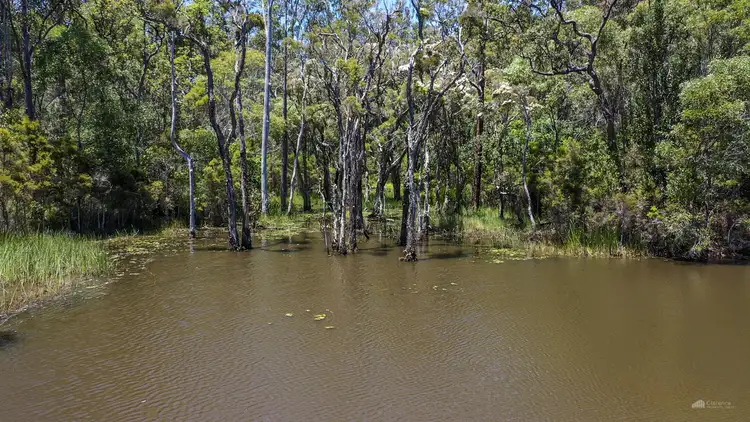 Fourth view of Homely rural property listing, LOT 17, 18, & 180 Bostock Road, Tucabia NSW 2462