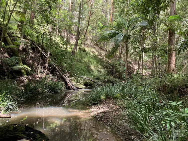 33 Costellos Road, Doon Doon NSW 2484