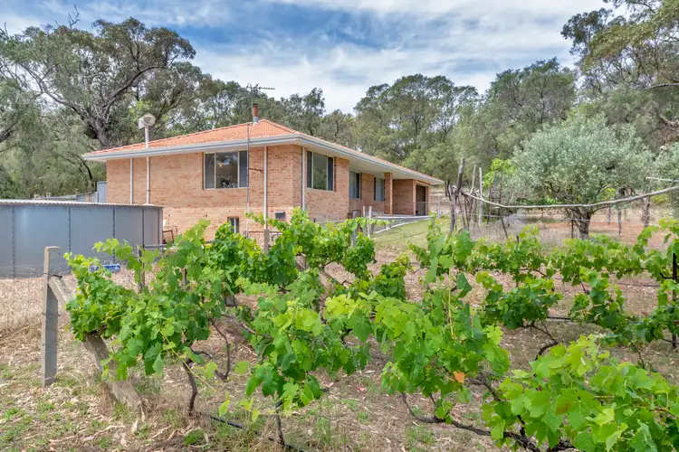 Main view of Homely rural property listing, 127 Peppermint Drive, Lake Clifton WA 6215