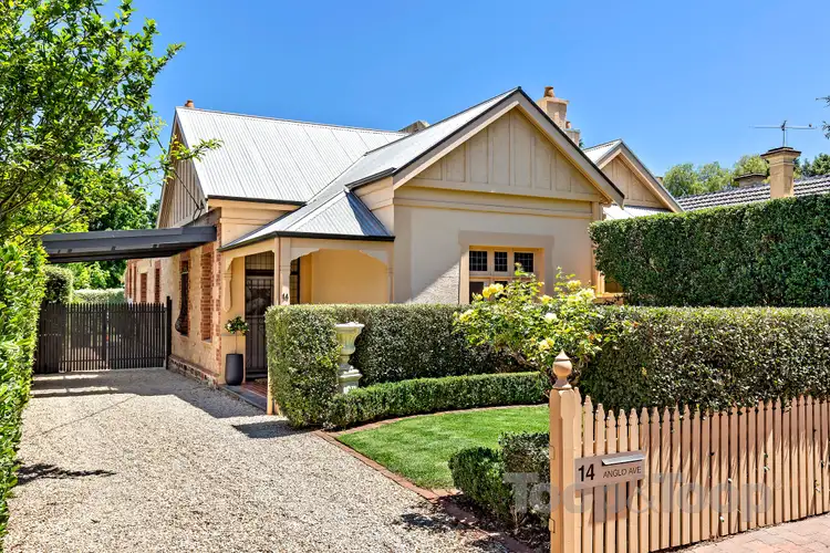 14 Anglo Avenue, Parkside SA 5063