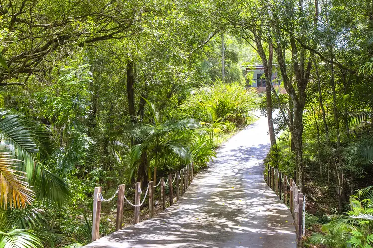 Fourth view of Homely house listing, 8 Payne Street, Eumundi QLD 4562