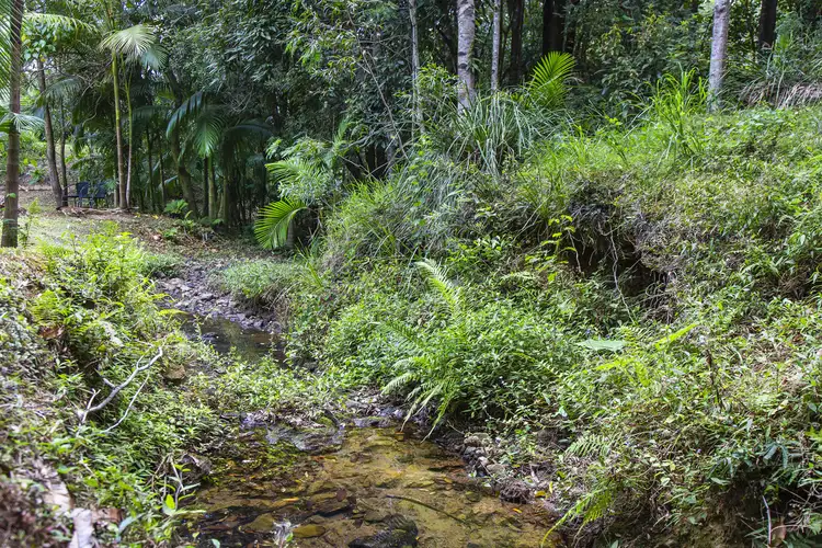 Fifth view of Homely house listing, 8 Payne Street, Eumundi QLD 4562