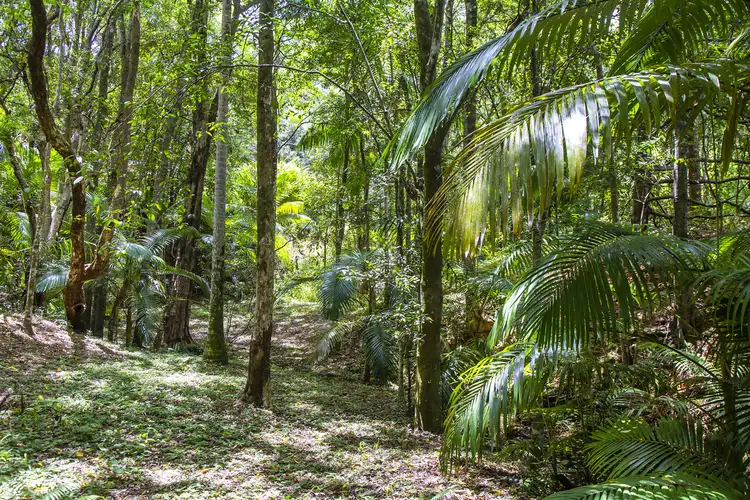 Sixth view of Homely house listing, 8 Payne Street, Eumundi QLD 4562