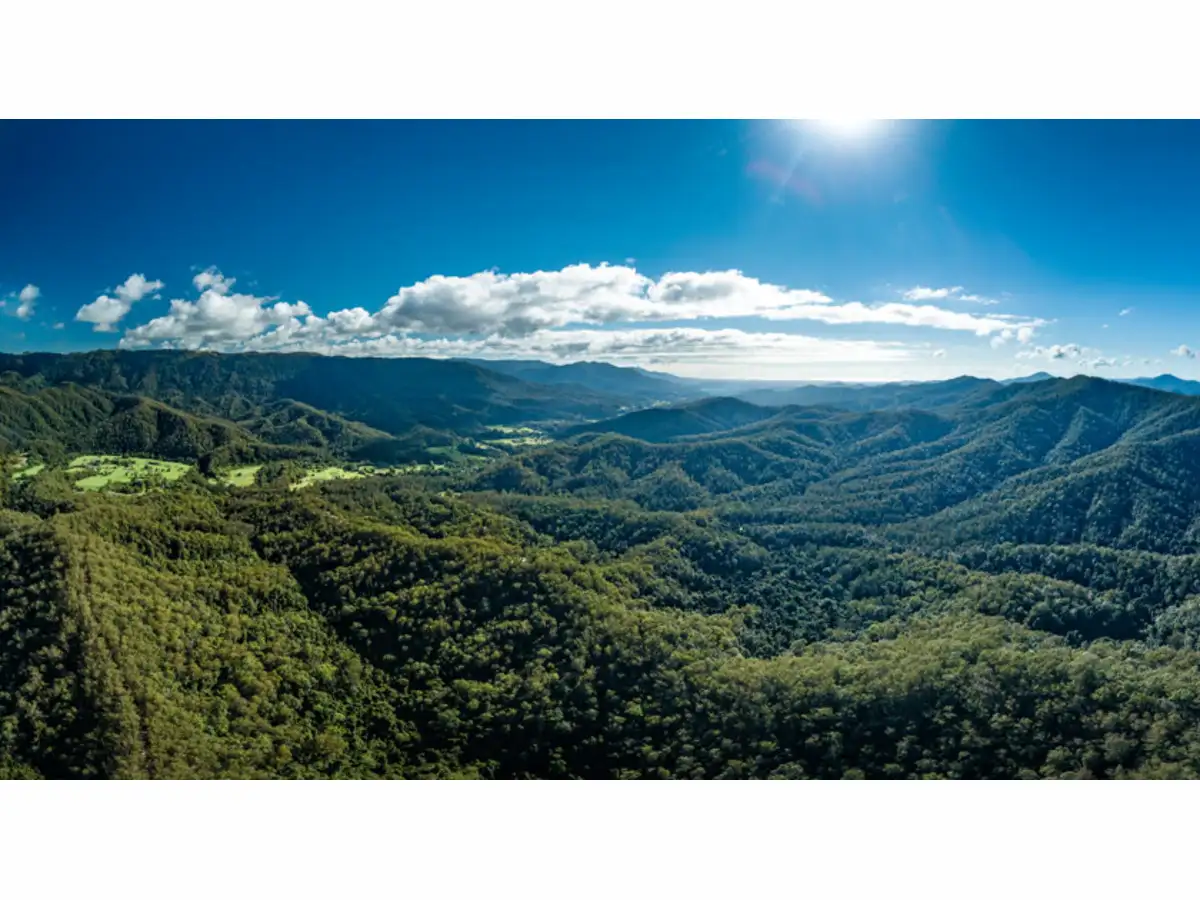 Main view of Homely rural property listing, LOT 9, 1169 Darkwood Road, Thora NSW 2454