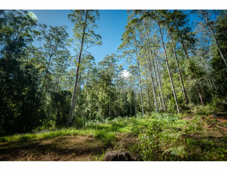 Fifth view of Homely rural property listing, LOT 9, 1169 Darkwood Road, Thora NSW 2454