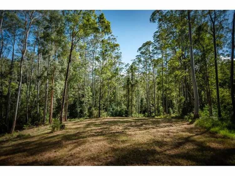 Sixth view of Homely rural property listing, LOT 9, 1169 Darkwood Road, Thora NSW 2454