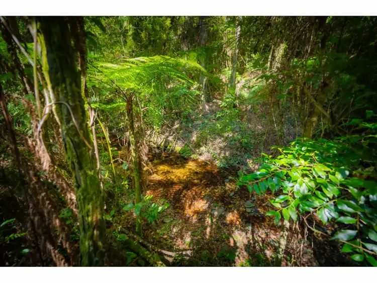 Seventh view of Homely rural property listing, LOT 9, 1169 Darkwood Road, Thora NSW 2454