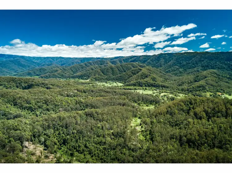 Main view of Homely rural property listing, LOT 33, 1169 Darkwood Road, Thora NSW 2454