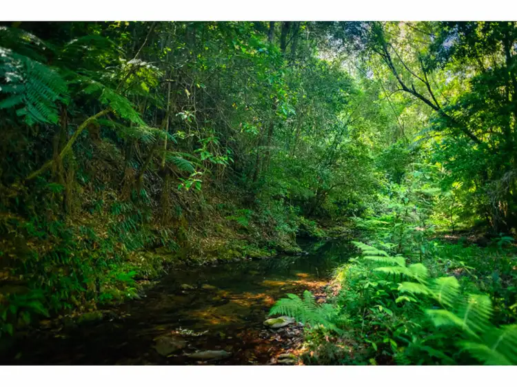 Second view of Homely rural property listing, LOT 33, 1169 Darkwood Road, Thora NSW 2454