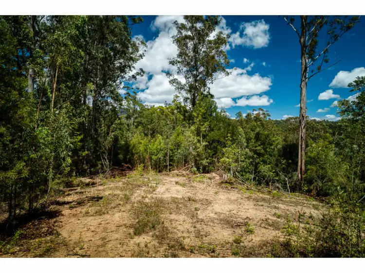 Third view of Homely rural property listing, LOT 33, 1169 Darkwood Road, Thora NSW 2454
