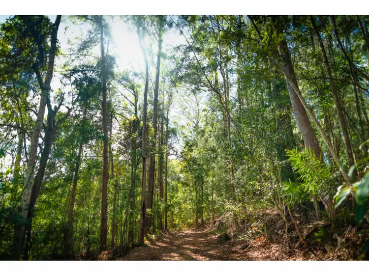 Fifth view of Homely rural property listing, LOT 33, 1169 Darkwood Road, Thora NSW 2454