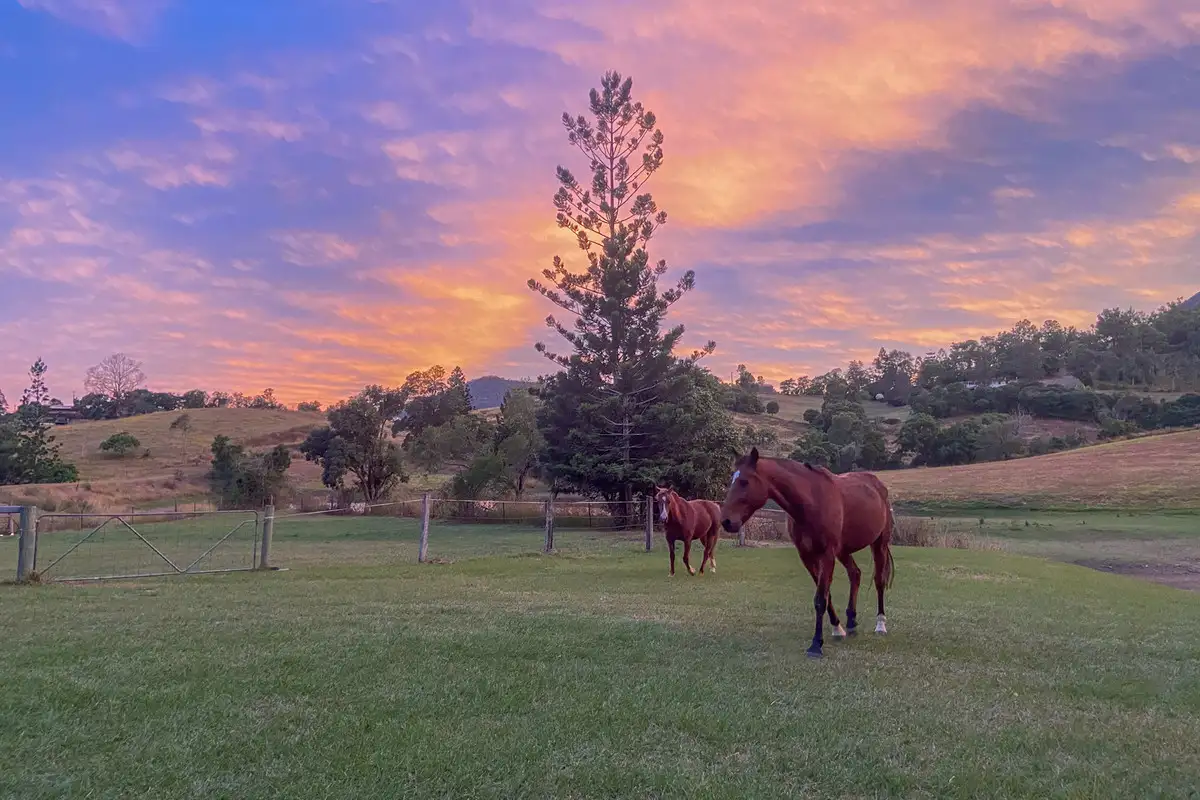 Main view of Homely house listing, 26 Gleeson Road, Samsonvale QLD 4520