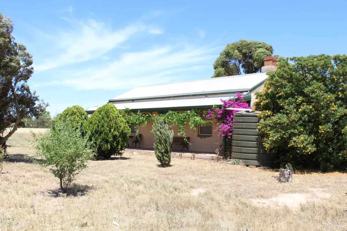 Main view of Homely rural property listing, 163 Hills Road, Robertstown SA 5381