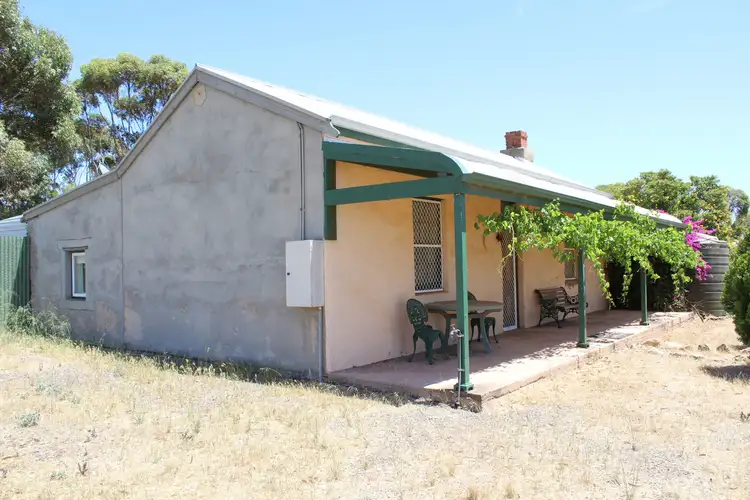 Second view of Homely rural property listing, 163 Hills Road, Robertstown SA 5381