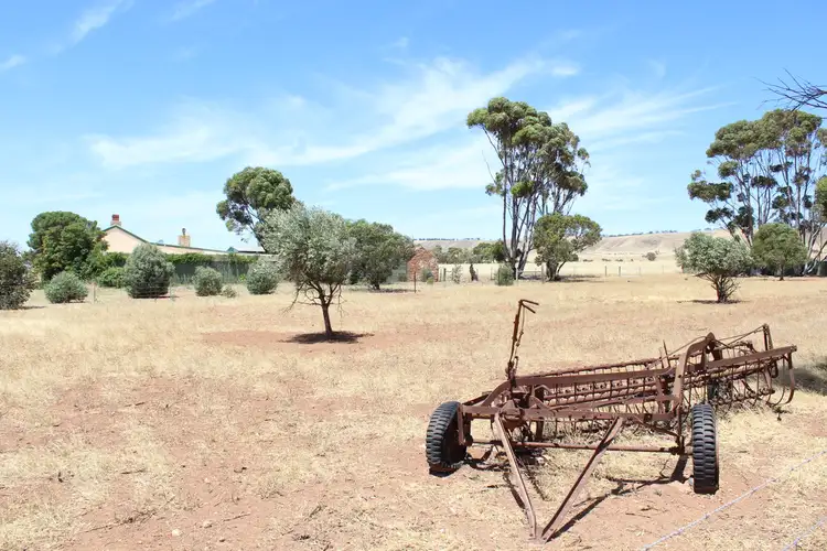 Fourth view of Homely rural property listing, 163 Hills Road, Robertstown SA 5381
