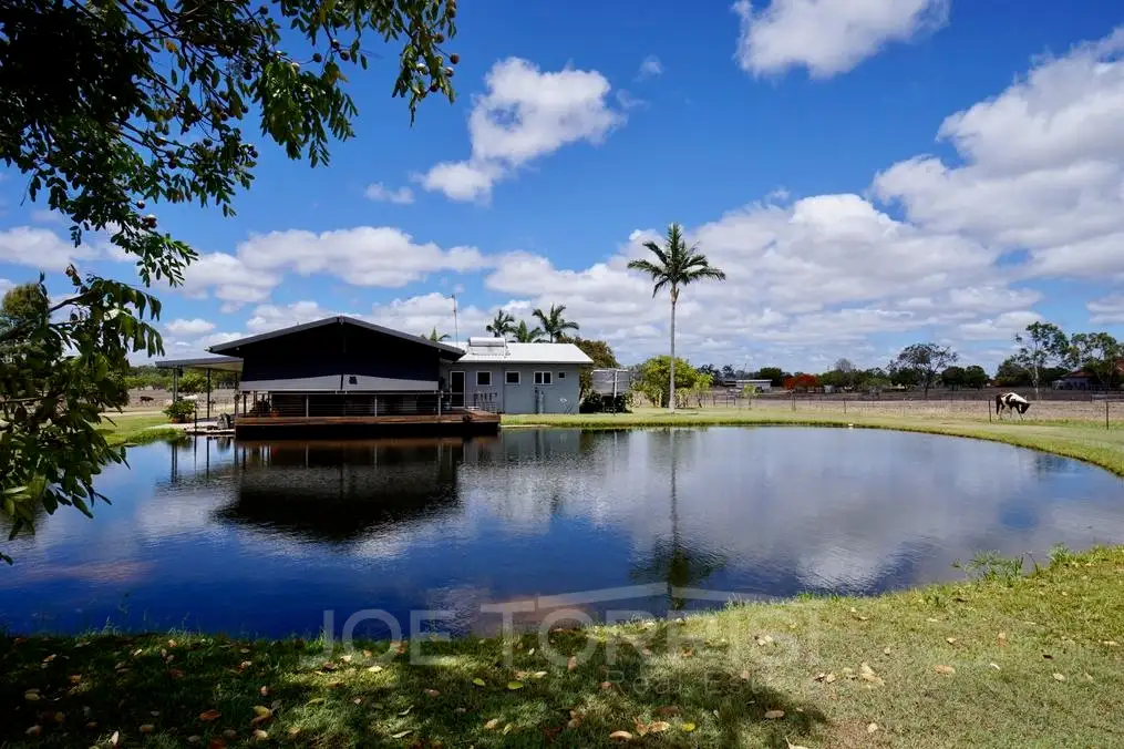 Main view of Homely rural property listing, 568 McGrath Road, Mareeba QLD 4880