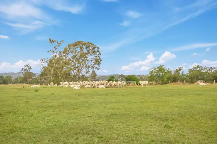Second view of Homely rural property listing, 72 Round Mountain Road, Laravale QLD 4285
