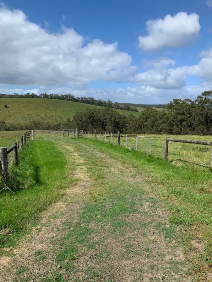 Third view of Homely rural property listing, 110 Neck Track, Barwon Downs VIC 3243