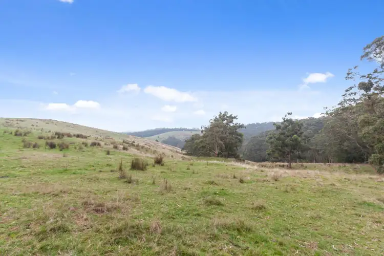 Seventh view of Homely rural property listing, 110 Neck Track, Barwon Downs VIC 3243