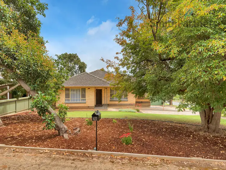 Second view of Homely house listing, 40 Far View Crescent, Ridgehaven SA 5097