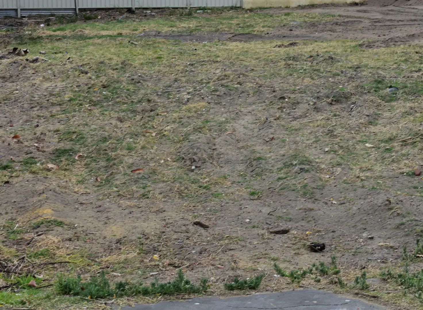 Main view of Homely land listing, 11 Balcombe Street, Westminster WA 6061