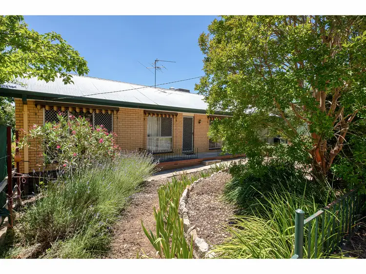 Main view of Homely house listing, 43 Panorama Place, Lavington NSW 2641