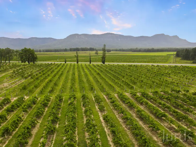 Sixth view of Homely rural property listing, 1023 Hermitage Road, Pokolbin NSW 2320