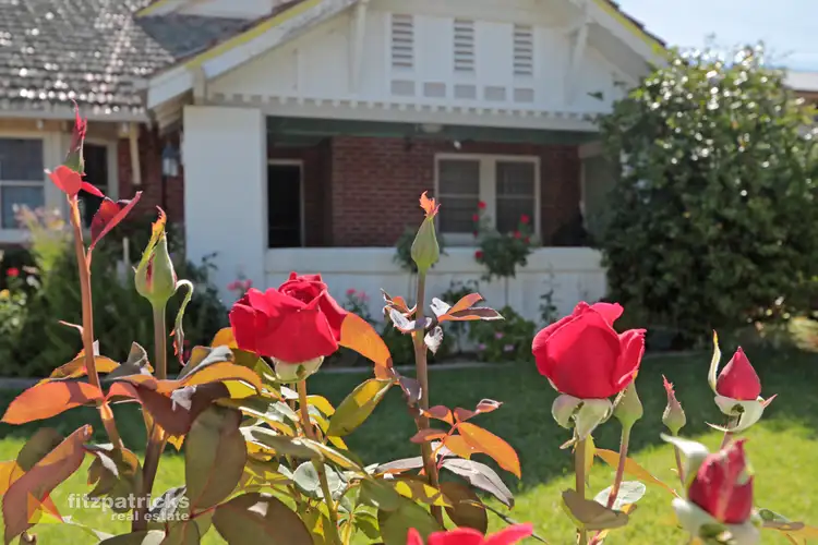 Fifth view of Homely house listing, 31 Dobbs Street, Wagga Wagga NSW 2650