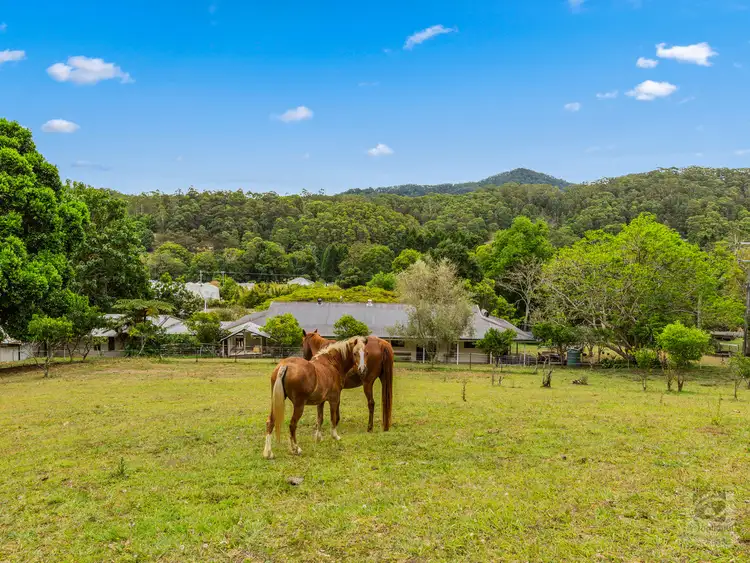Fourth view of Homely rural property listing, 76 Howards Road, Burringbar NSW 2483