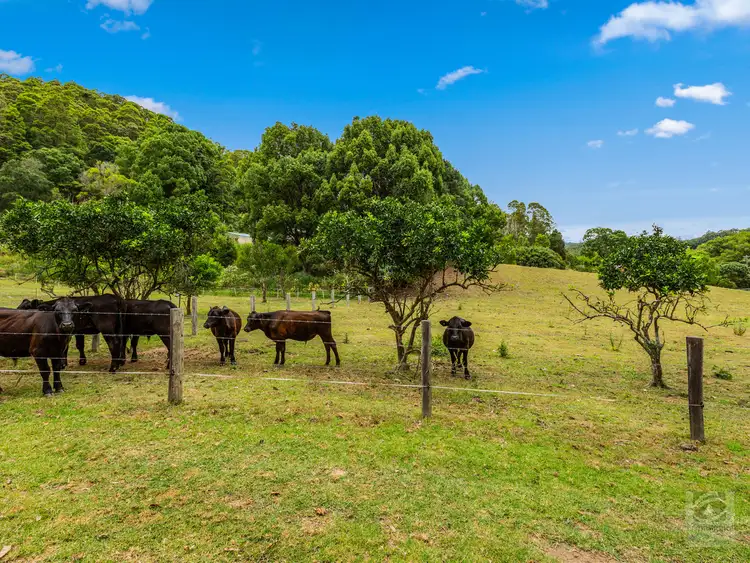 Fifth view of Homely rural property listing, 76 Howards Road, Burringbar NSW 2483