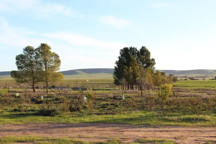 Third view of Homely rural property listing, 228 Gleeson Road, Mount Templeton SA 5461
