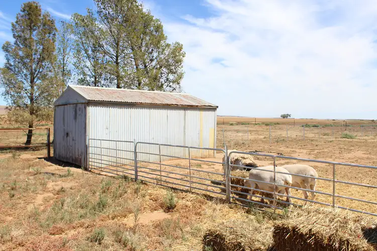 Fourth view of Homely rural property listing, 228 Gleeson Road, Mount Templeton SA 5461