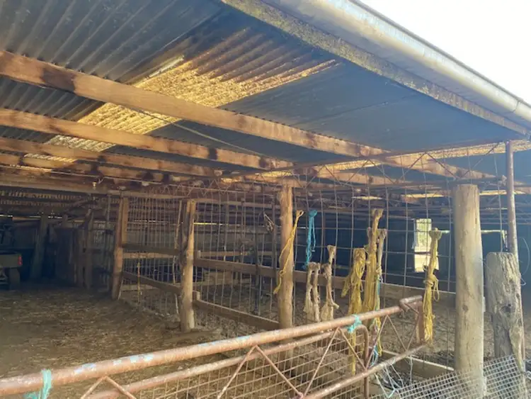 Sixth view of Homely rural property listing, 2238 Kerang Koondrook Road, Koondrook VIC 3580
