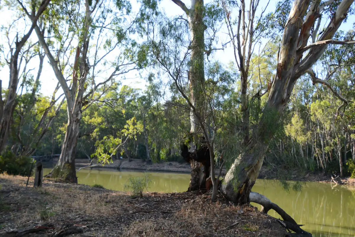 Main view of Homely land listing, "River Estate" Riverview Drive, Barham NSW 2732