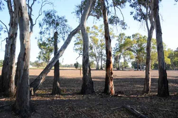 Third view of Homely land listing, "River Estate" Riverview Drive, Barham NSW 2732