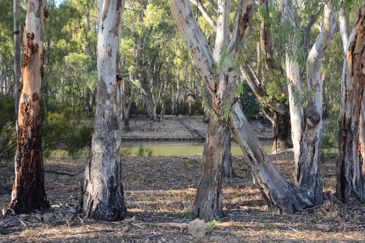 Sixth view of Homely land listing, "River Estate" Riverview Drive, Barham NSW 2732